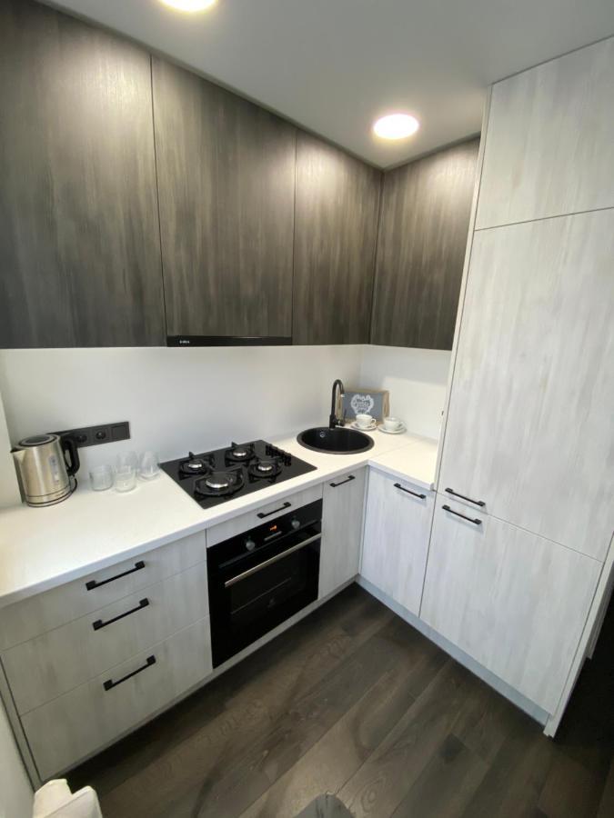 Parko 443 Apartman Panevėžys Kültér fotó